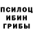 Галлюциногенные грибы MAGIC MUSHROOMS Necko Agic