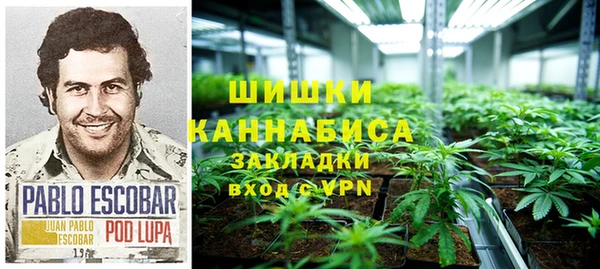 винт Гусиноозёрск