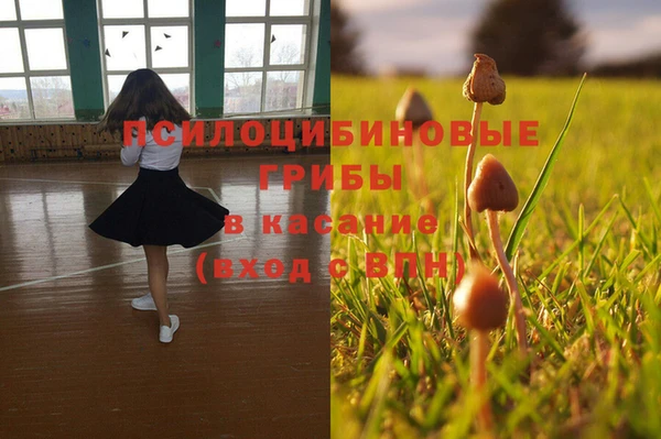 винт Гусиноозёрск