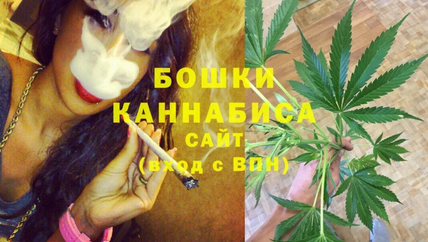 винт Гусиноозёрск