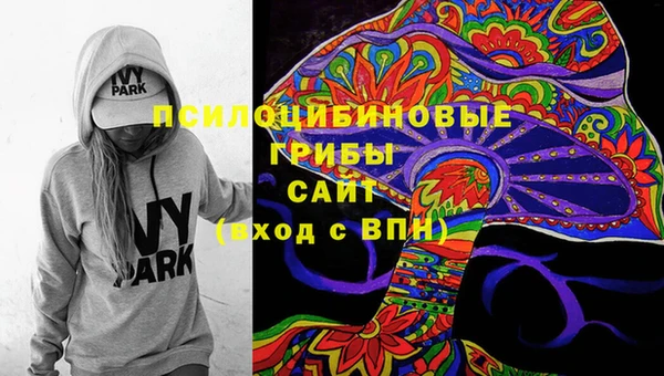 винт Гусиноозёрск