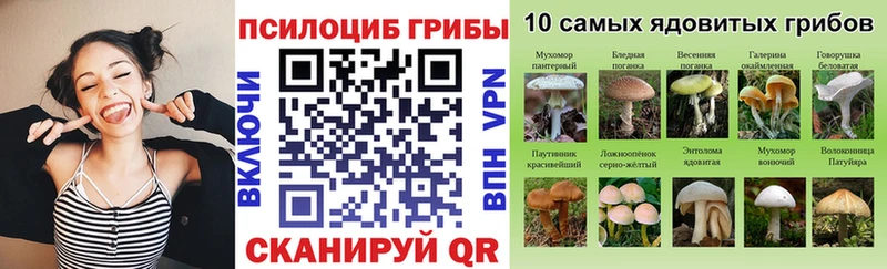MEGA как войти  цены наркотик  Кохма  Псилоцибиновые грибы ЛСД 